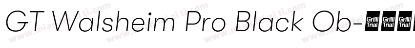 GT Walsheim Pro Black Ob字体转换
